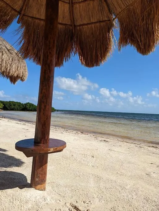 Peninsula Luxury Apartments With Ocean Front And Espectacular Views - No Pets Cancún